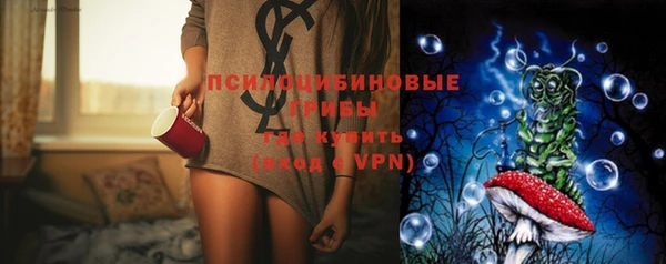 тгк Белокуриха