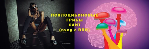 тгк Белокуриха
